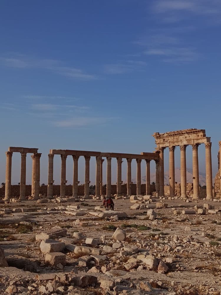 Ancient City of Palmyra